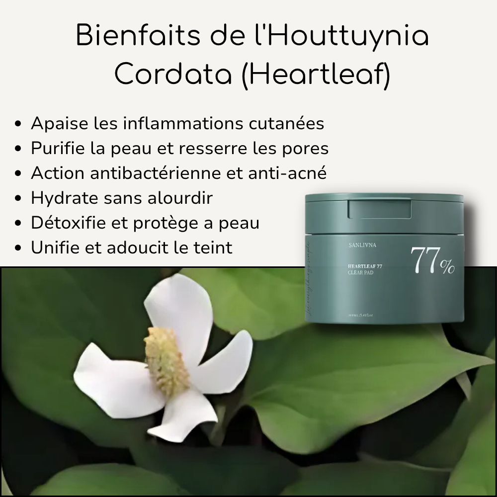 Heartleaf 77 Tampons tonifiants